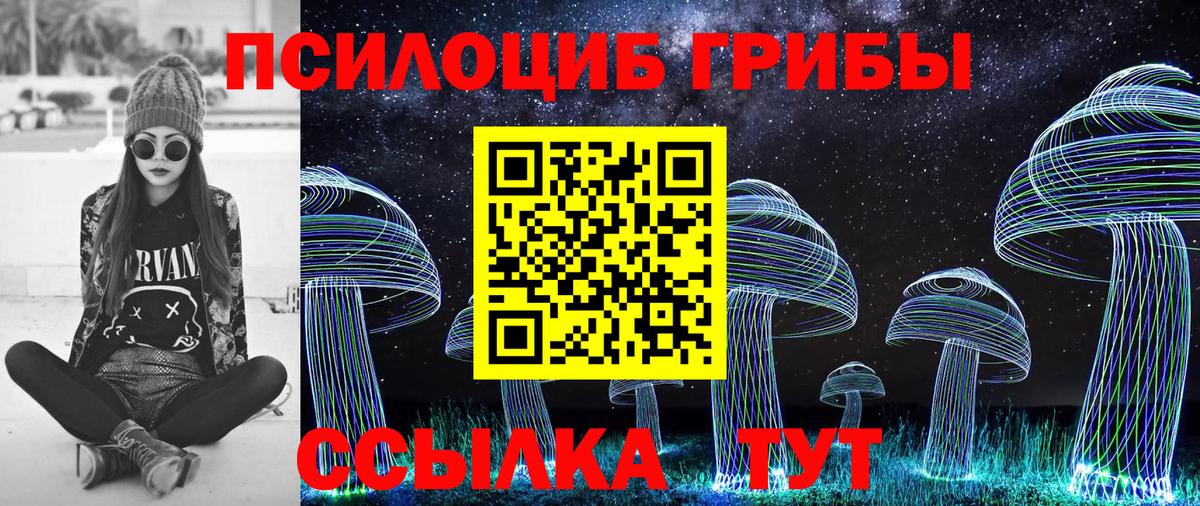 Красногорск  Псилоцибиновые грибы Cubensis  купить закладку  Вход с VPN 